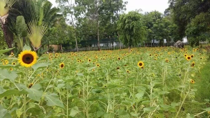 Khu du lịch Bửu Long
