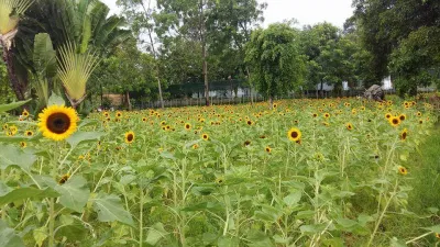 Khu du lịch Bửu Long