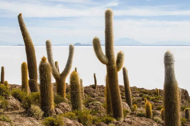 Salar de Uyuni
