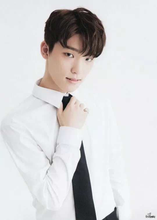 Seventeen Dino