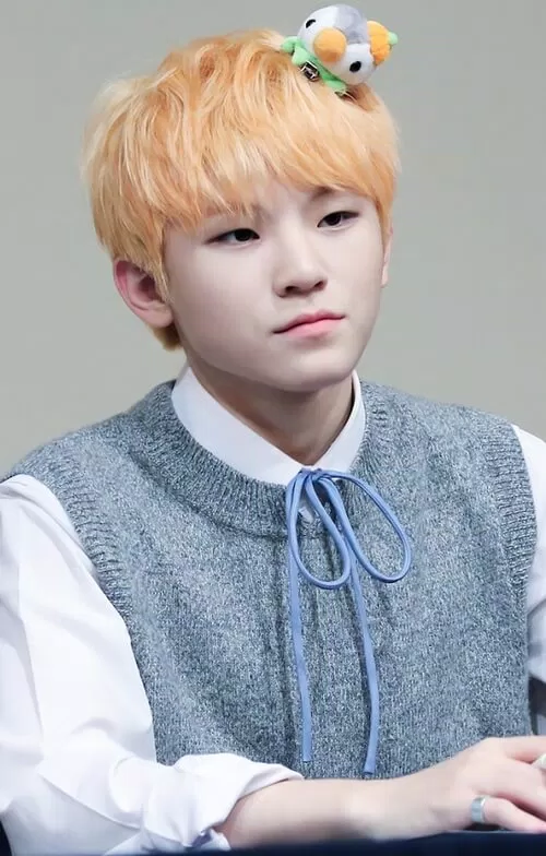 Seventeen Woozi