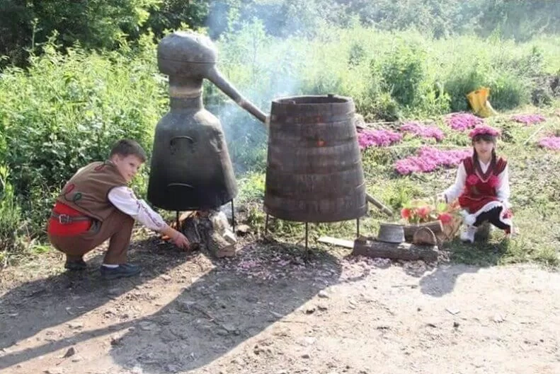 Thung lũng hoa hồng