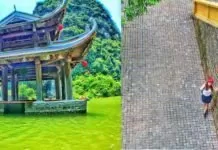 Du lịch