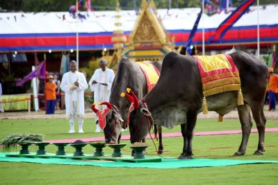 Lễ hội cầm cày Hoàng Gia