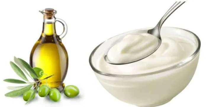 Sữa chua và dầu olive