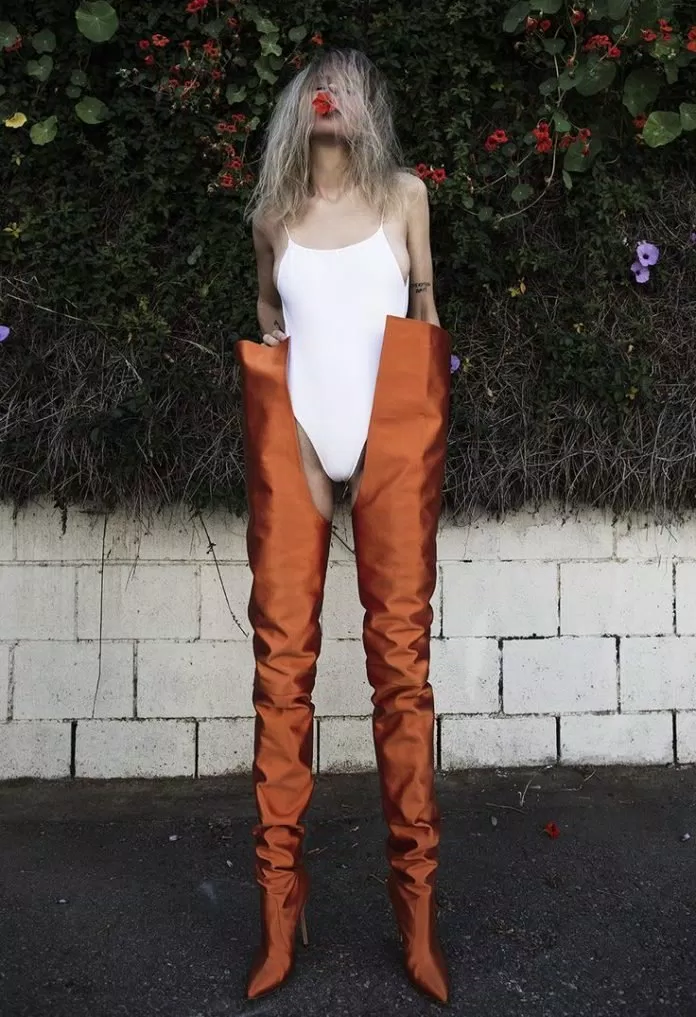 the native fox