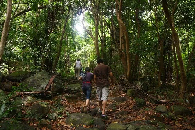 Vịnh Đầm Tre