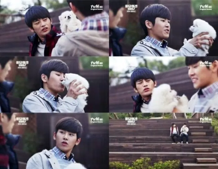 hoya