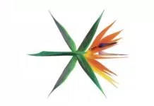 Logo comeback của EXO