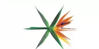 Logo comeback của EXO