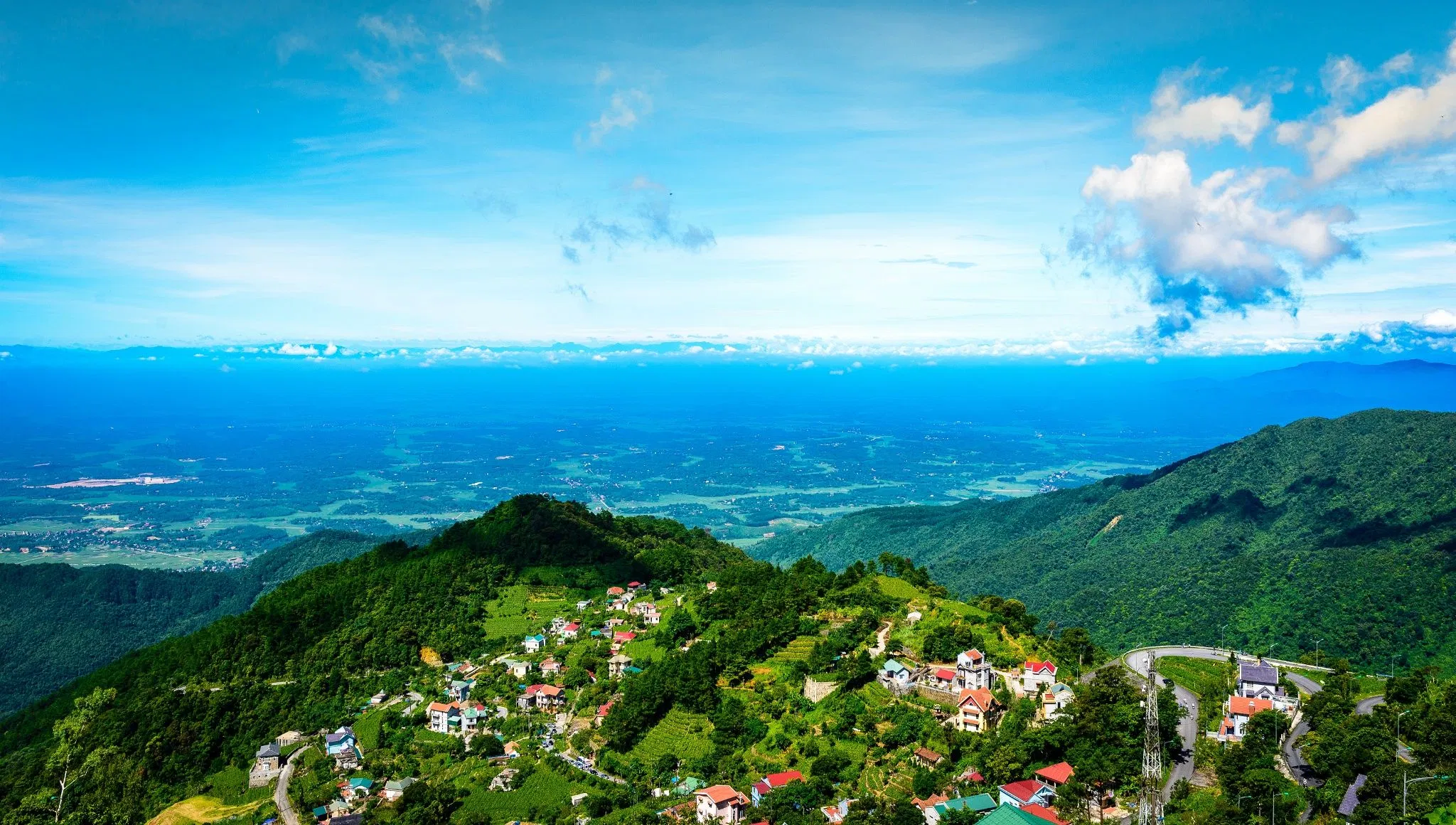 Tảm Đảo trên cao