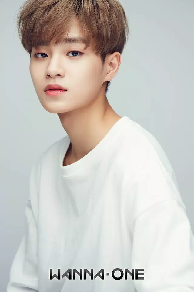 Wanna One Daehwi