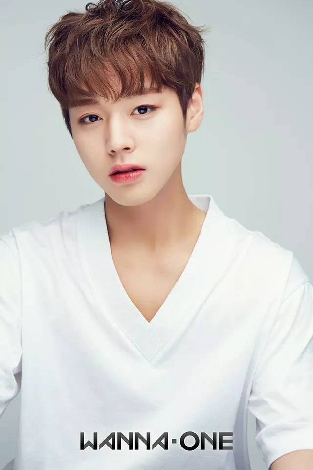Wanna One Jihoon