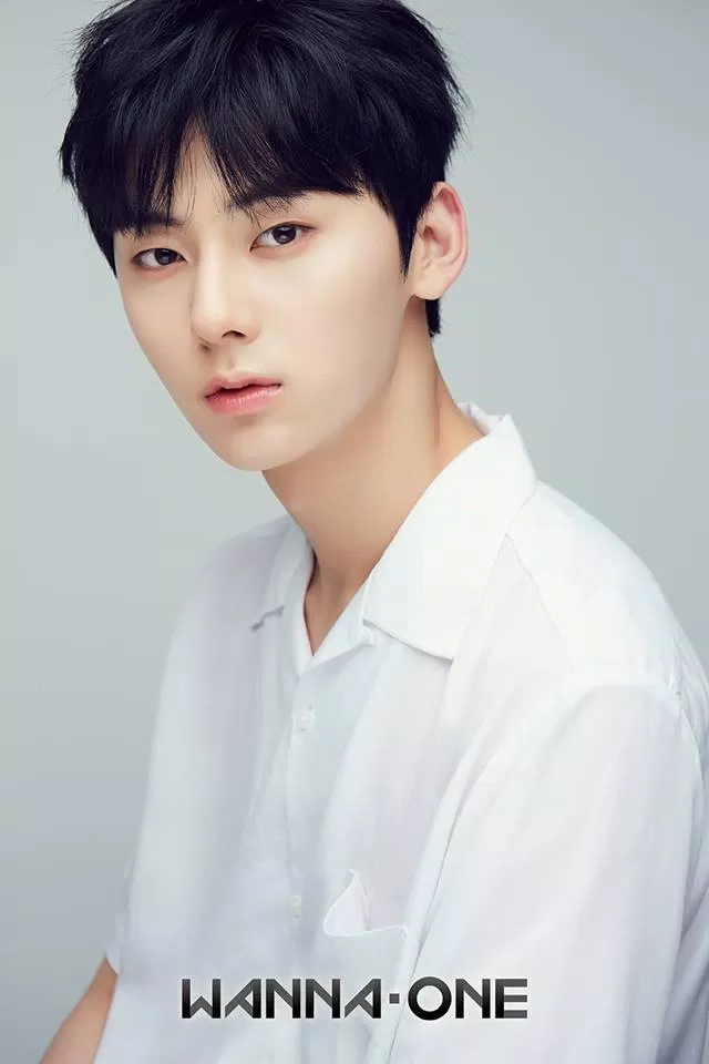 Wanna One Minhyun