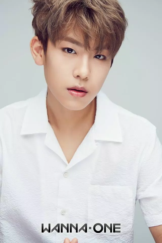 Wanna One Woojin