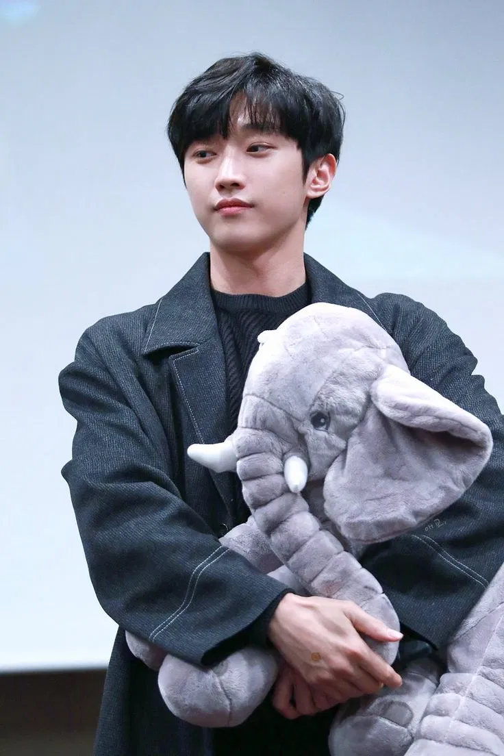 Jinyoung. (Nguồn: Internet)