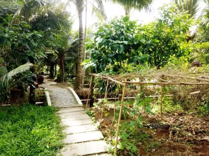 Ben Tre Farm Stay