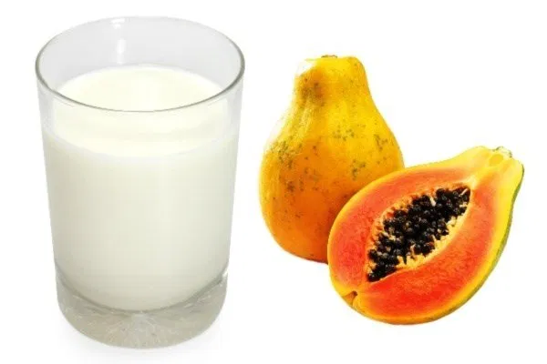 Sữa tươi, đu đủ