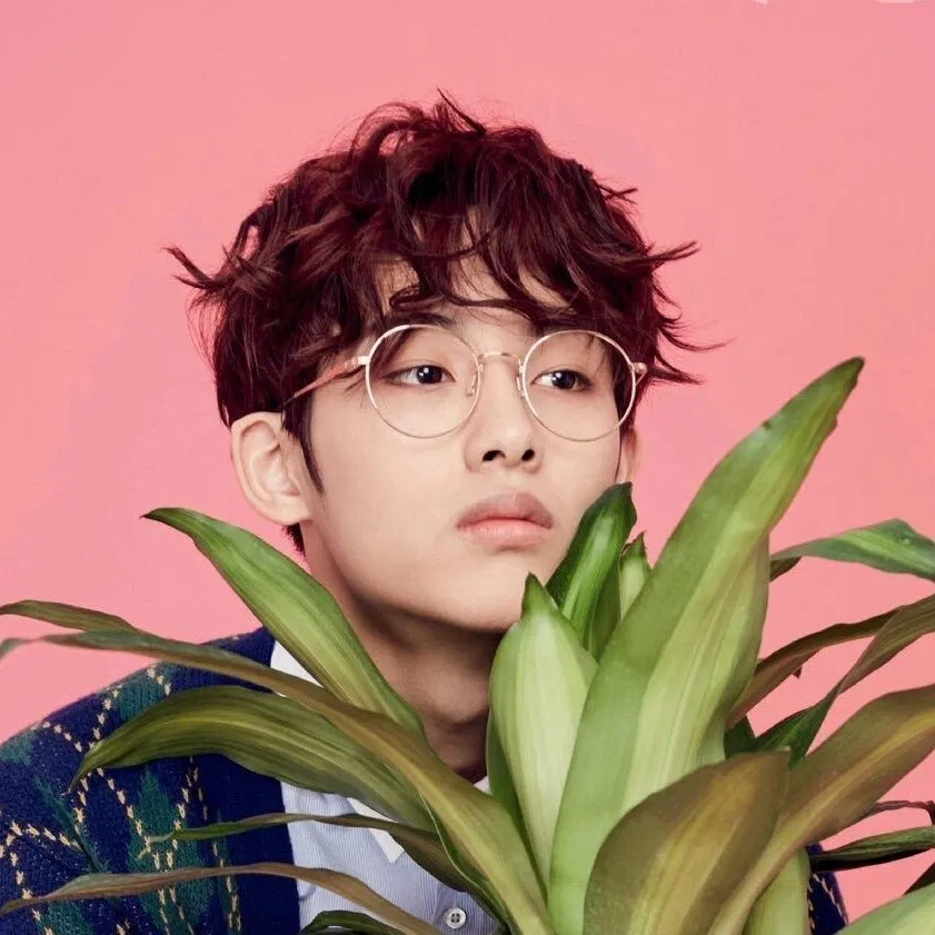 winwin