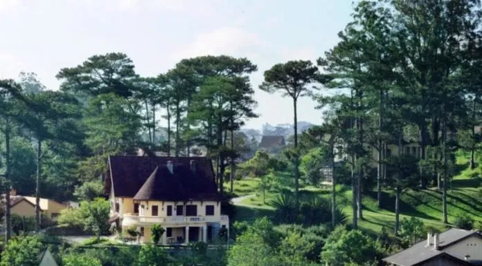 Nghỉ ngơi ở Đà Lạt