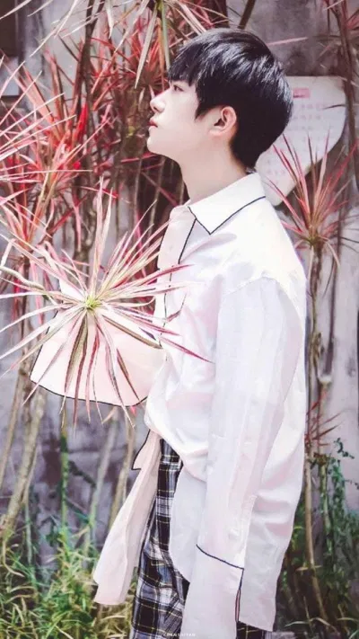 áo sơ mi trắng