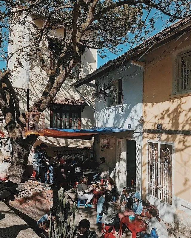 Ăn uống Đà Lạt