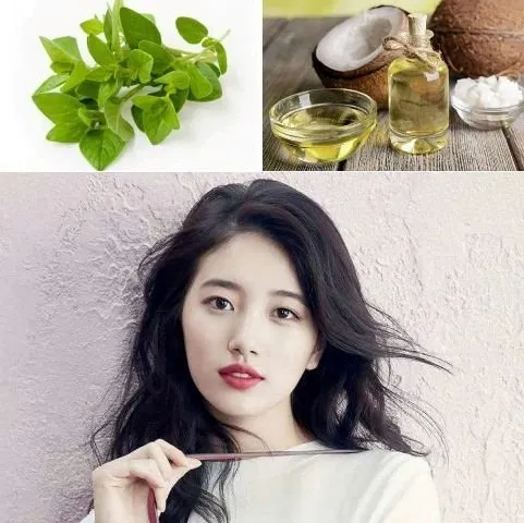 Cách chăm sóc tóc với tinh dầu lá cari và dầu dừa