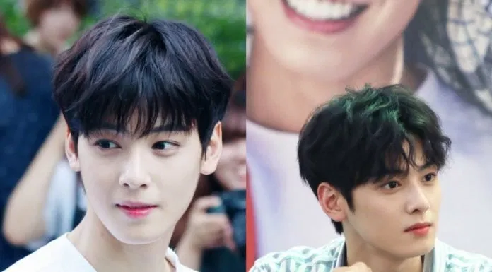Cha Eun Woo