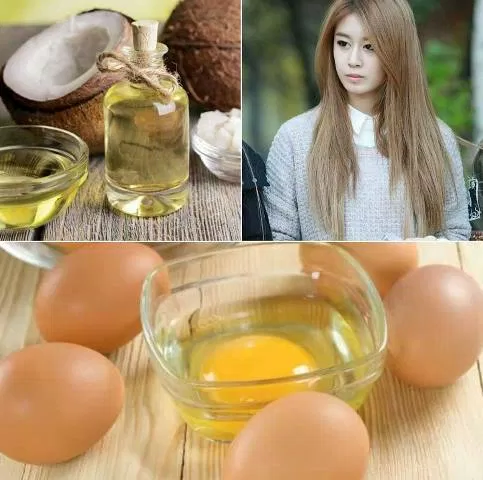 Cách chăm sóc tóc với mặt nạ trứng gà và dầu dừa