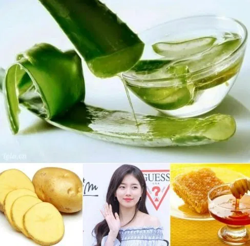 Cách chăm sóc tóc với gel lô hội