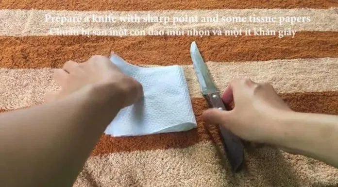 Bánh Chiffon