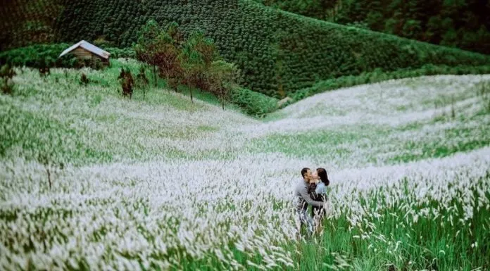 Địa điểm du lịch Đà Lạt