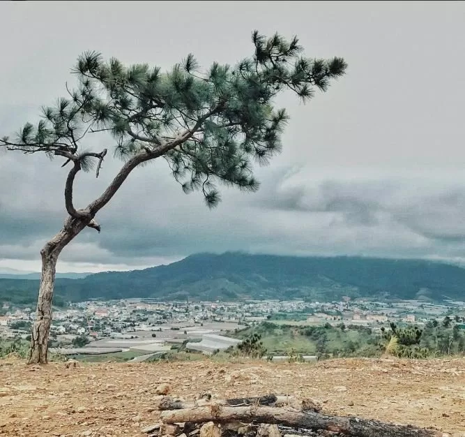 Địa điểm du lịch Đà Lạt