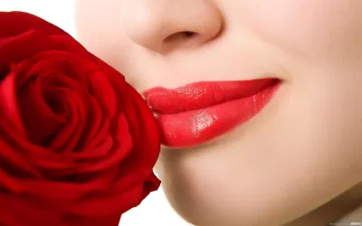 Hoa hồng