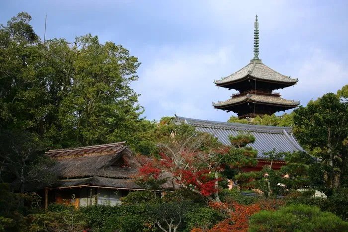 Chùa Ninnaji