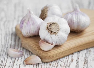 tác dụng của tỏi tươi