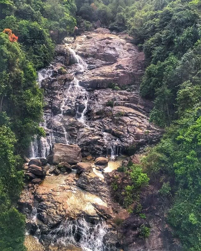 Suối Mơ