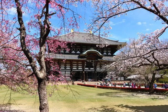 Chùa Todaiji