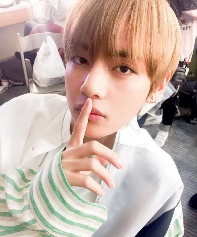 V (BTS)