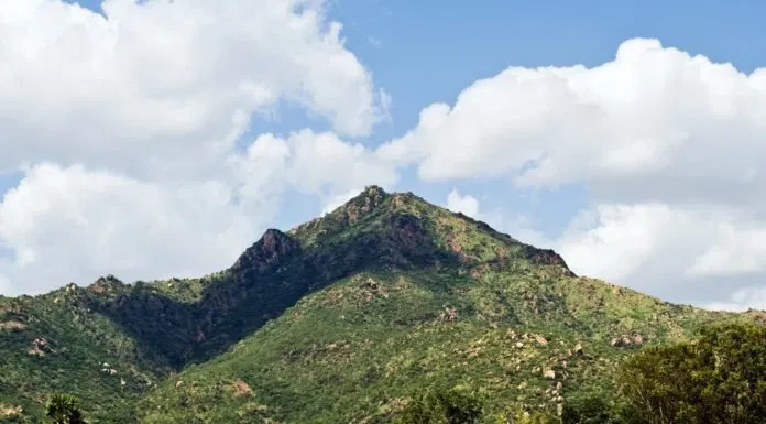 Arunachala