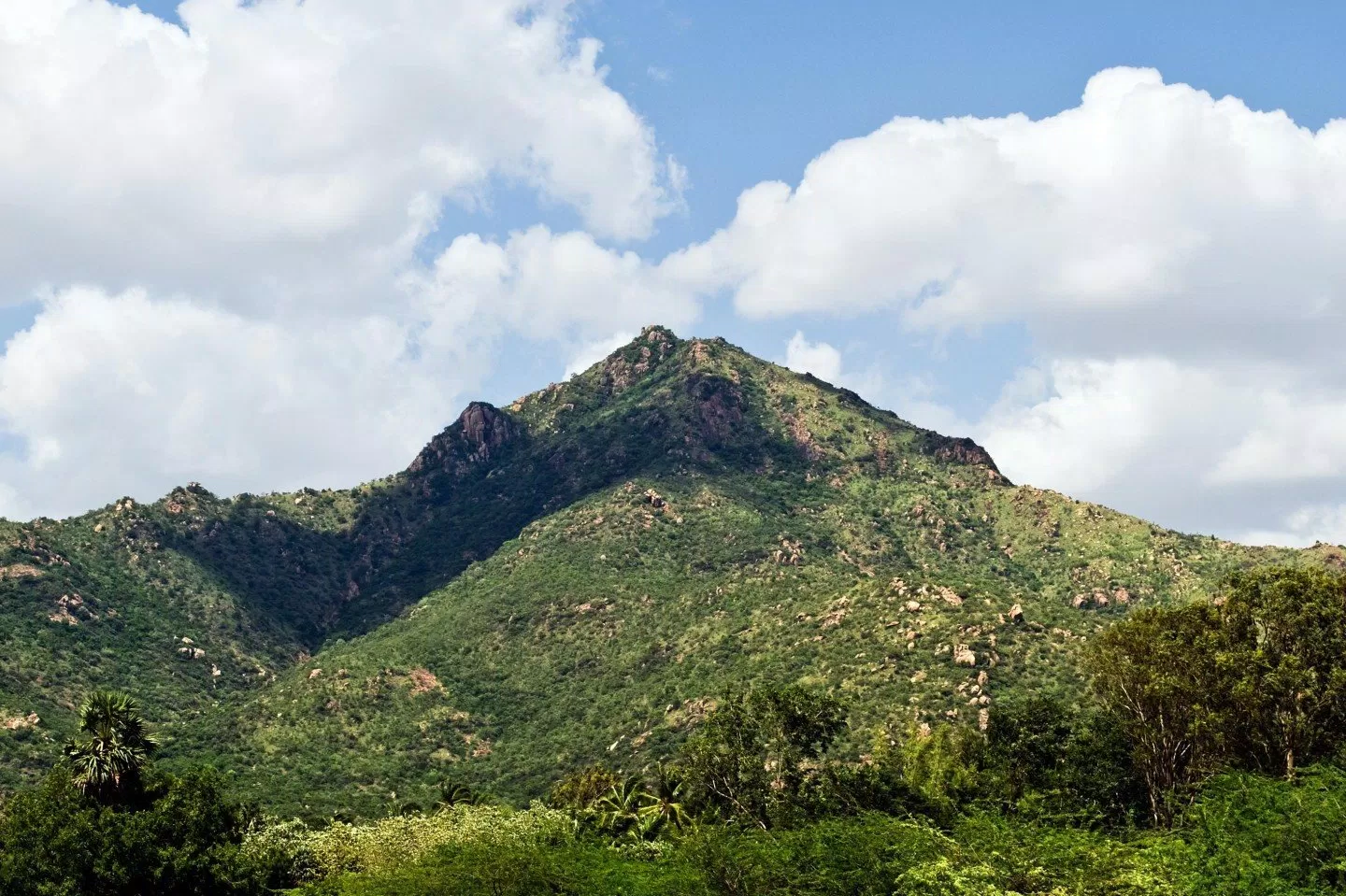 Arunachala