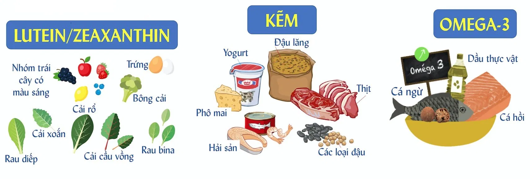 Những thực phẩm tốt cho mắt