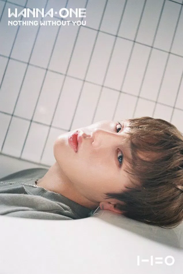 Ha Sung Woon