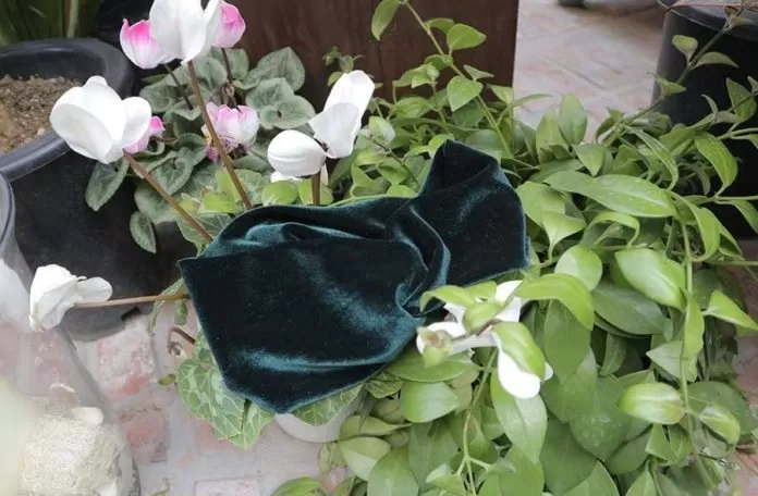 phụ kiện nữ
