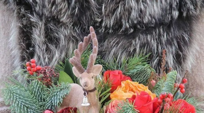 Qùa tặng Noel