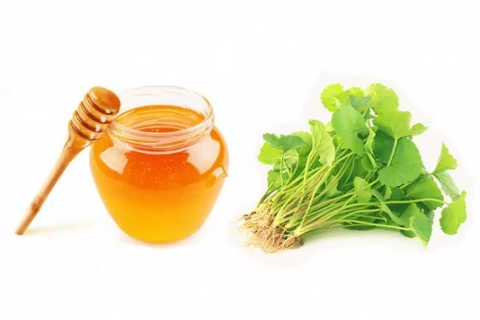 Rau má - Mật ong