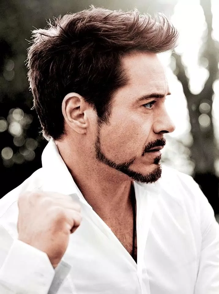 robert donwey jr.