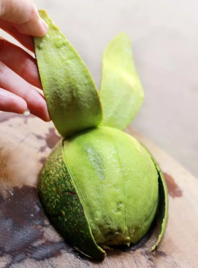 Bóc vỏ bơ