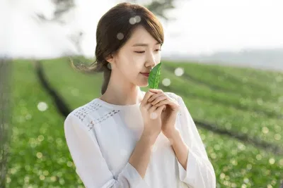 chiết xuất