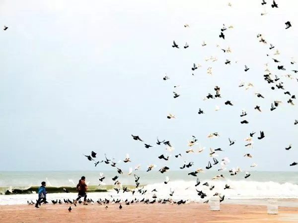 Du lịch Đà Nẵng